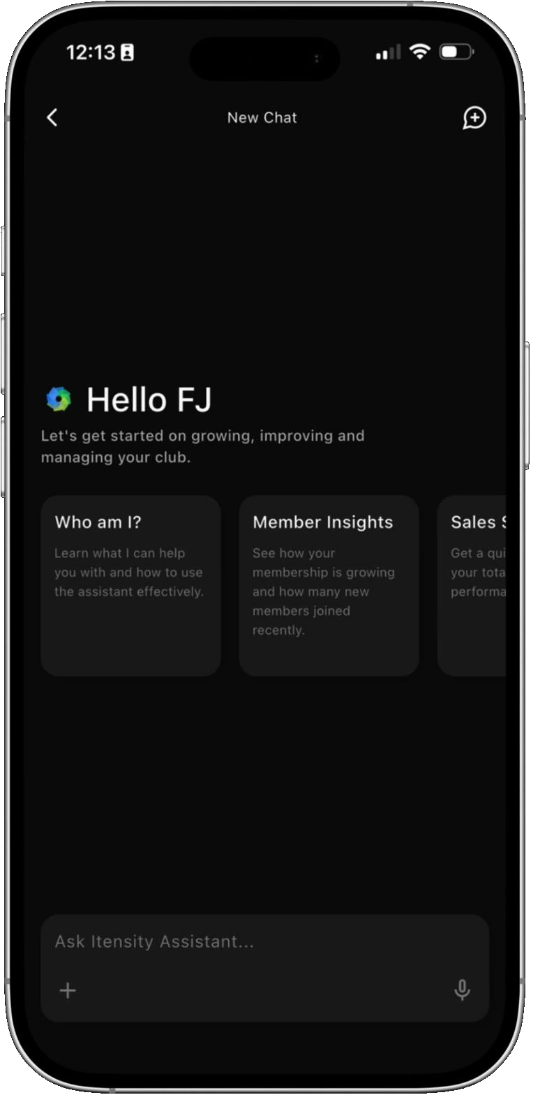 Itensity AI Assistant on iPhone