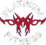 CrossFit Platinum